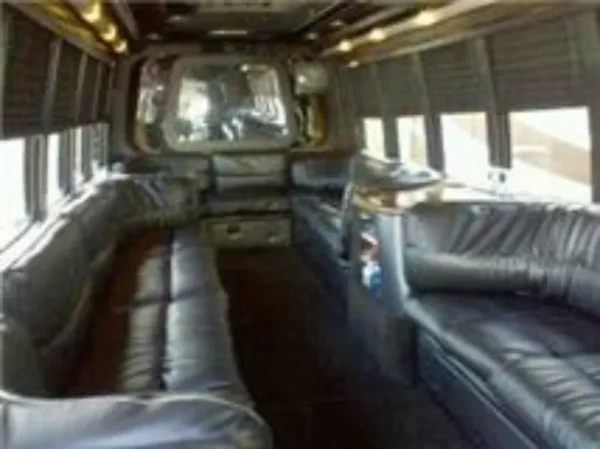 22 seat party bus leroy