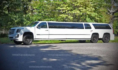 white escalade limo for rent in louisiana 17