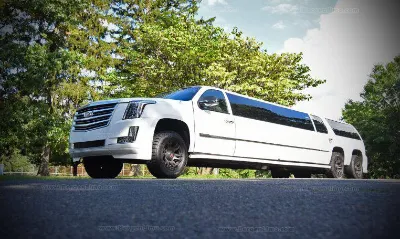 white escalade limo for rent in louisiana 19